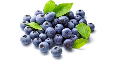 Dripeez's tweet image. Thinking about buying Blueberry Natural E-Liquid 30mL? Read Dripeez latest review yotpo.com/go/e2kR52yv via @yotpo