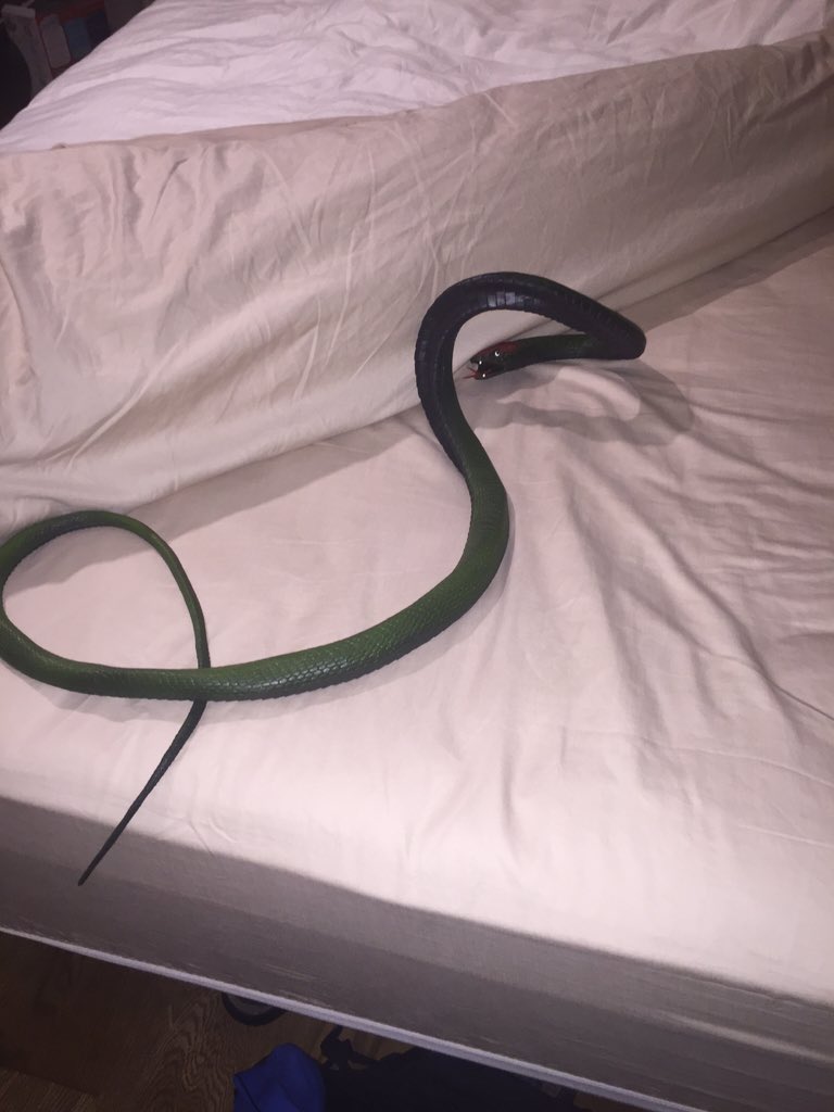 geoffreygoodwin tweet media