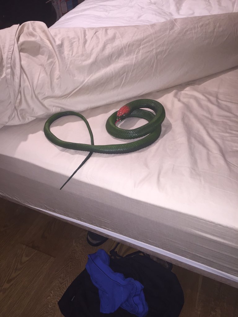 geoffreygoodwin tweet media