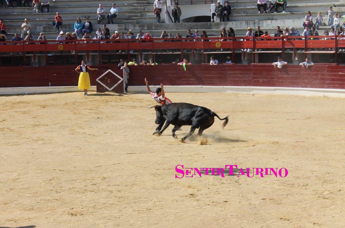 Sentir Taurino tweet media