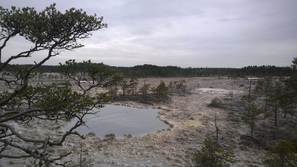 AJHarkonen's tweet photo. Terveiset Pohjois-Dakotasta!
#pomarkku
#isoneva https://t.co/UKHGyXLZgw