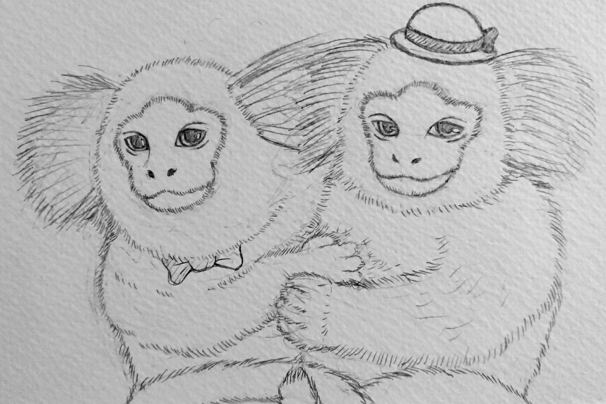 おまる 今年の年賀状用に描いたイラストです 申年ということで コモンマーモセットを描きました コモンマーモセットは 一夫一婦制で子育ても家族みんなでする 人間に近いおさるさんです 改めて 今年もよろしくお願いします W