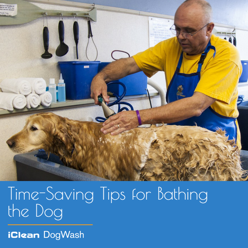 iClean_Dog_Wash's tweet photo. "Time-Saving Tips for Bathing the Dog"- https://t.co/pv7jEl2RT2 or https://t.co/oWv707DgDu
#DogBath #DogClean https://t.co/NxQHG26BLD