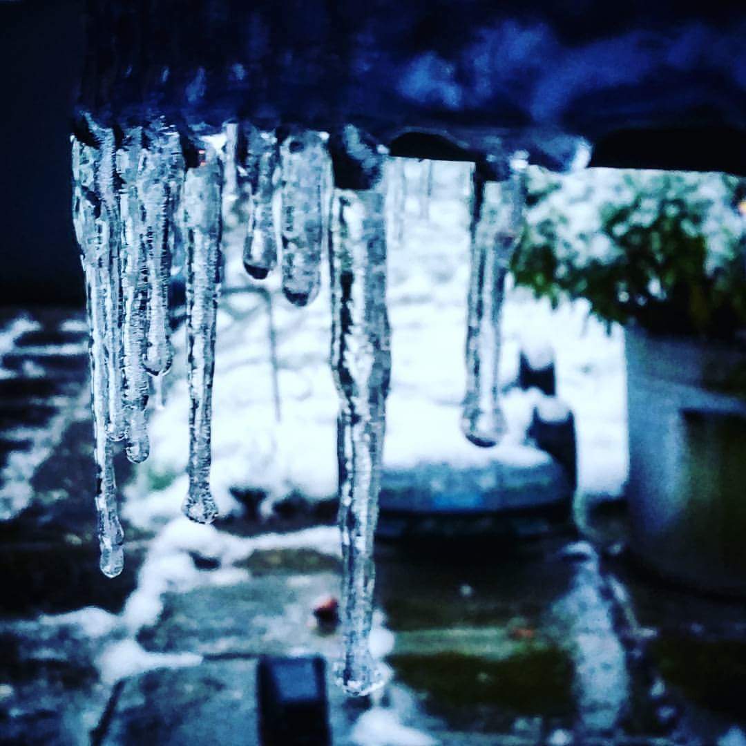 lasanja1's tweet image. #ijzel #friesland #codeviolet #coderood