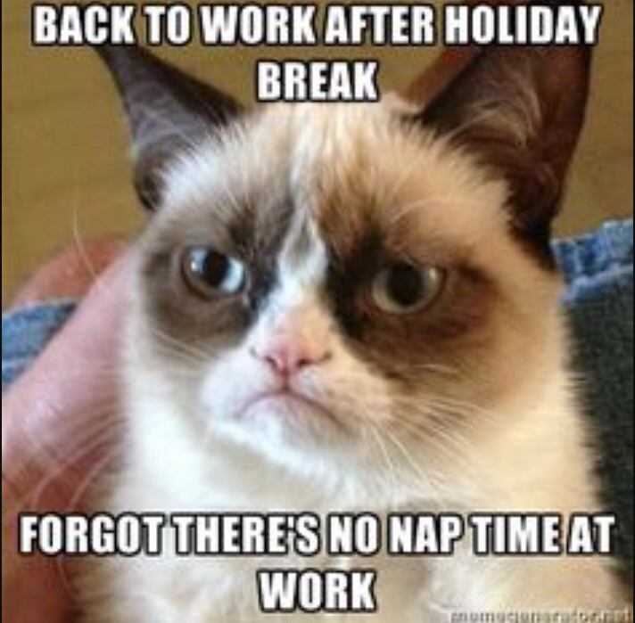 HomecookdUK's tweet photo. Haha! You may not have nap time, but we’ve got your lunch time sorted ;) https://t.co/mxlg3zFtf1