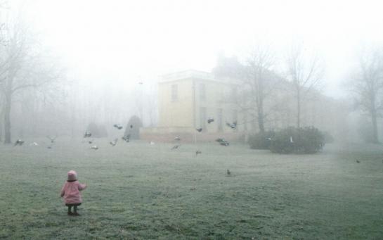 La carte de voeux 2016 de #VilledeGif a été réalisée à partir de 8 clichés de Giffois.
.leparisien.fr/gif-sur-yvette…