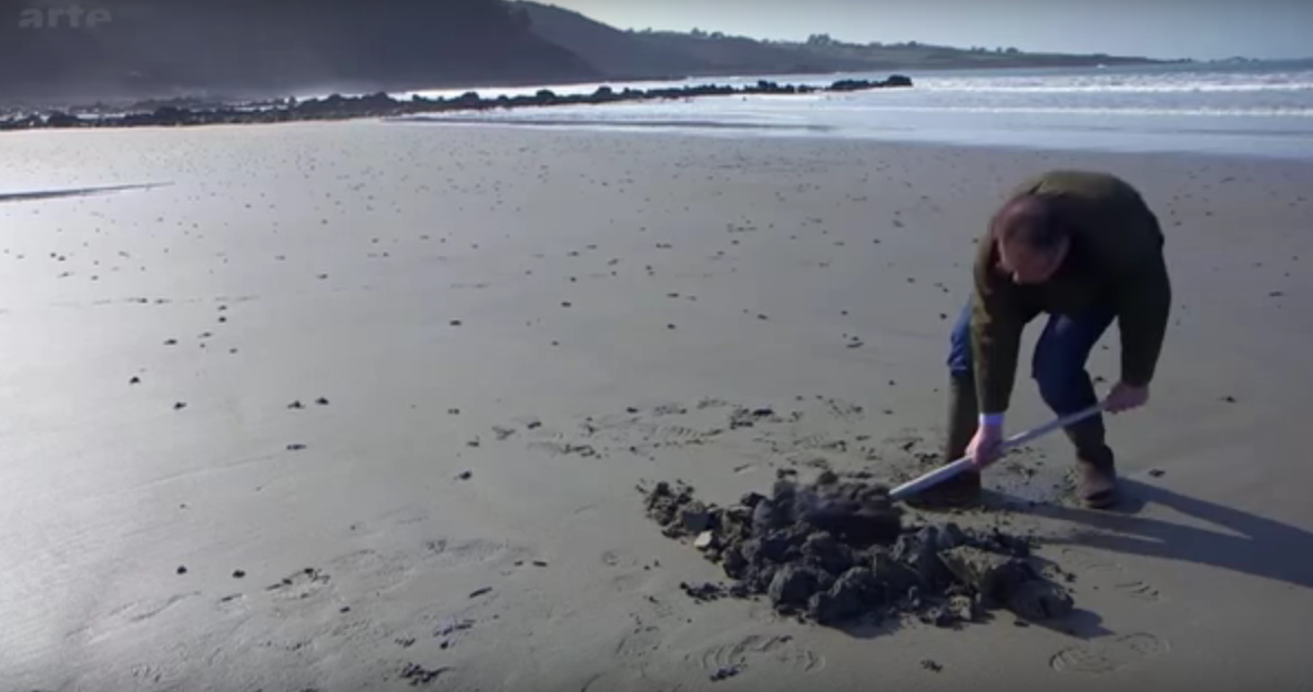 FUTUREMAG tweet media