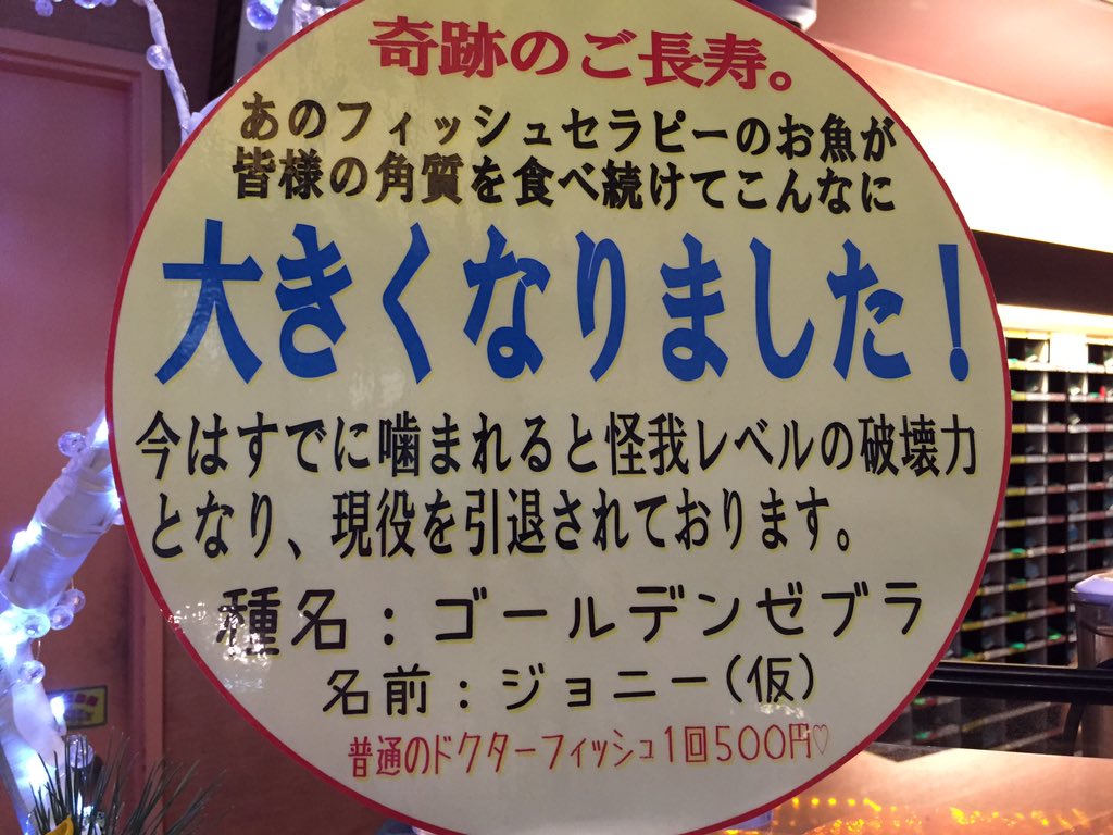 ドクターフィッシュにひたすら人の角質を食べさせた結果 フクザツな気分 こんなになるのか 驚愕のtl Togetter