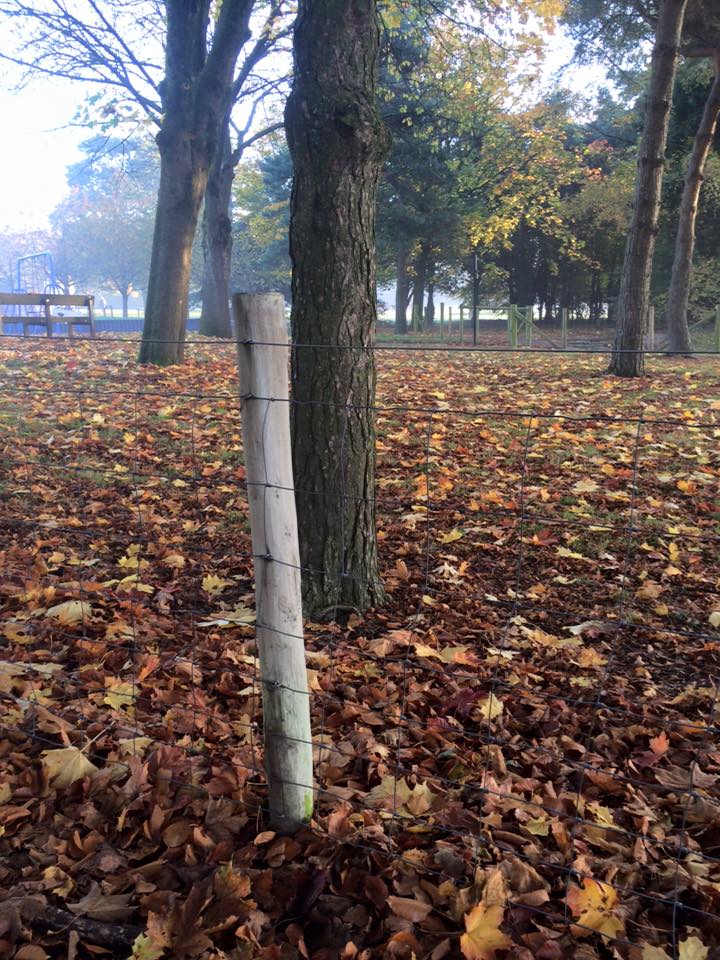 SoftWashingUK's tweet image. Do you need something cleaned?
Call Gavin on 029 2021 8943.