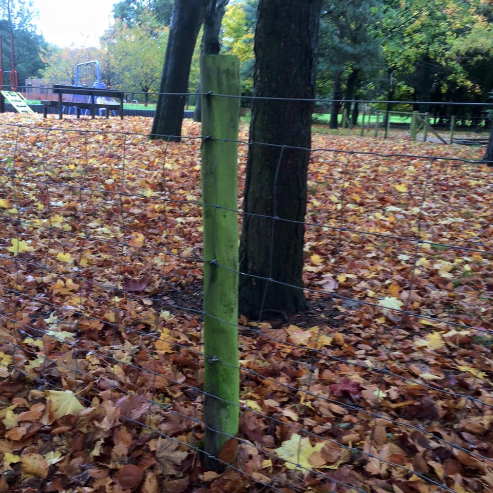 SoftWashingUK's tweet image. Do you need something cleaned?
Call Gavin on 029 2021 8943.