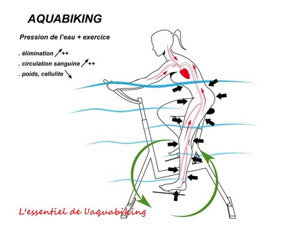 SublimForme's tweet photo. https://t.co/iVsB7QEels
Eliminer après les fêtes !! #aquabike #imoove
#saintrémydeprovence chez Sublim' https://t.co/CgzYflgBoi