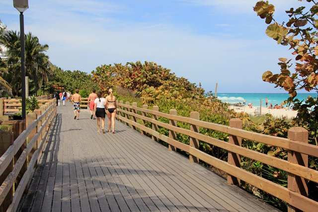 UseOliom's tweet image. Are U an active traveler heading to #MiamiBeach? Here's a FREE scenic site + 8 cool tips... bit.ly/1Oxhqhy