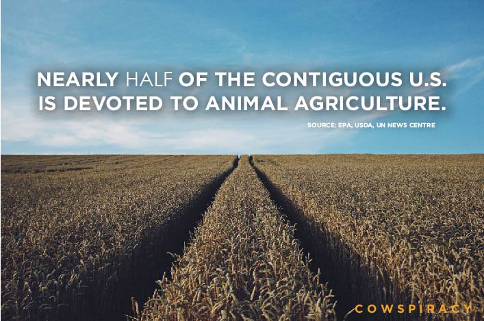 Cowspiracy (@cowspiracy) on Twitter photo 