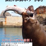 【おたる水族館レジェンドが止まらない】どこに向かっているのか…どんなミッションがあるのか…!