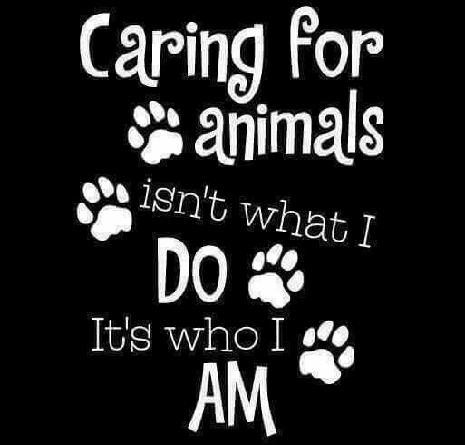 h_kittrell's tweet photo. yes https://t.co/gU5OYD3LXT