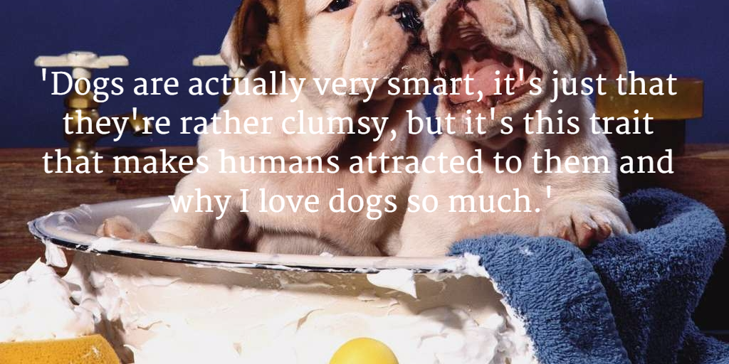 #CanineCareWithMarcTheVet
buff.ly/1XfBo6z