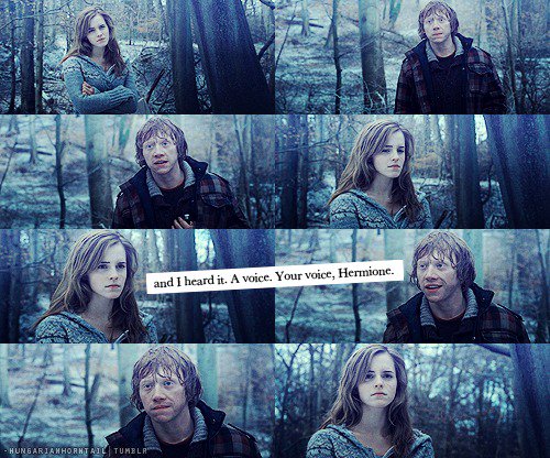 "...and I heard it. A voice. Your voice, Hermione."