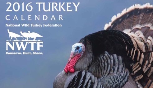 NWTF_official's tweet image. New year. New calendar. More amazing wild turkey photos. Get yours here for 15 bucks: outdoordealhound.com/p-7006-2016-nw…
