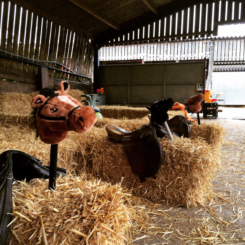 WaughBrowFarm's tweet photo. Look forward to seeing you all at our Farm Shop and Snack Shack in 2016! #knustford #cheshirefarm #HappyNewYear https://t.co/pBk5gNTmNs
