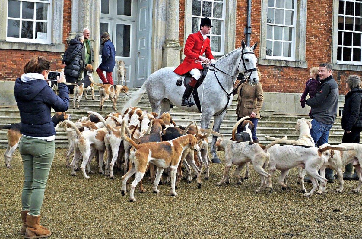 The Boxing Day photos are still coming in - here are the West #Norfolk at Raynham Hall by Jan Wilson. Dazzling hoss.