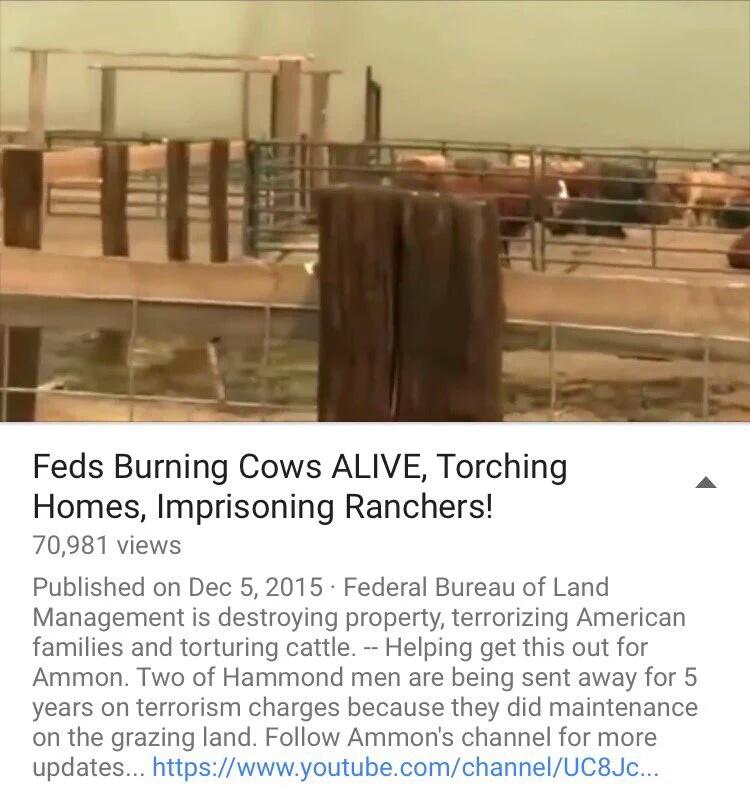 LReake's tweet photo. #CowsUnderAttack
#OregonUnderAttack
#YallQueda 
#Oregonstandoff https://t.co/mhv8tO3awi