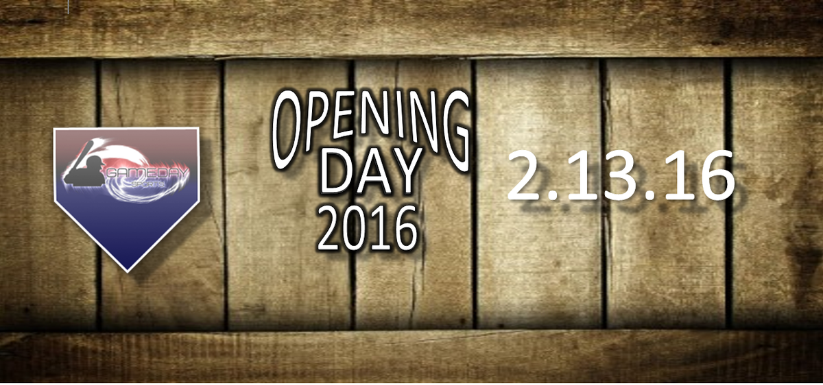 Gameday USSSA tweet media