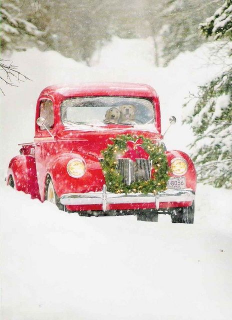 ParrottAuto's tweet image. Seasons greetings from our family to yours -- safe travels!