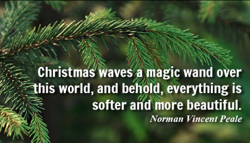 BSAFans's tweet photo. We wish this Christmas' Eve brings you the gifts of happiness, good health &amp; good hair you deserve! #BSA #Miami https://t.co/LtJLpKE7uV