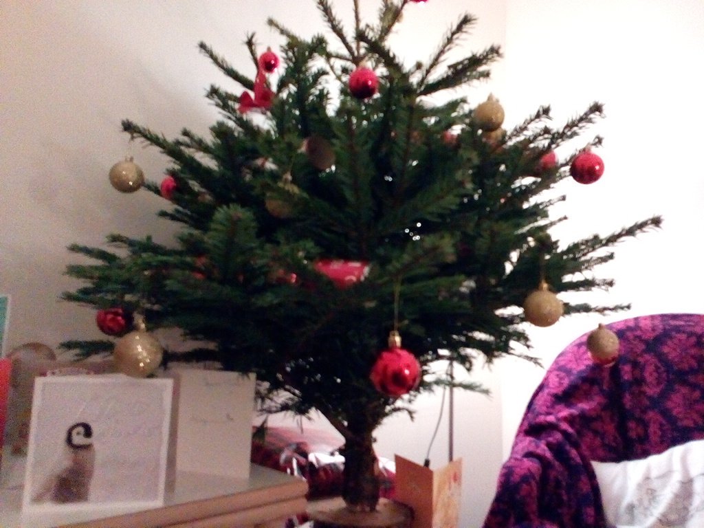 peoplein_it's tweet photo. Happy Holidays all our business partners, festivals, parents, young people &amp; schools, we've had a great 2015 :-) https://t.co/kId9mzuJb3