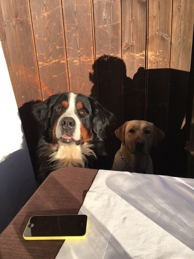 paolaferrari_og's tweet image. Auguri di Buon Natale a chi ha il cuore buono come noi ! 🎅🎅🎅🎅🎅🎅🎅🎅🎅🎅🎅