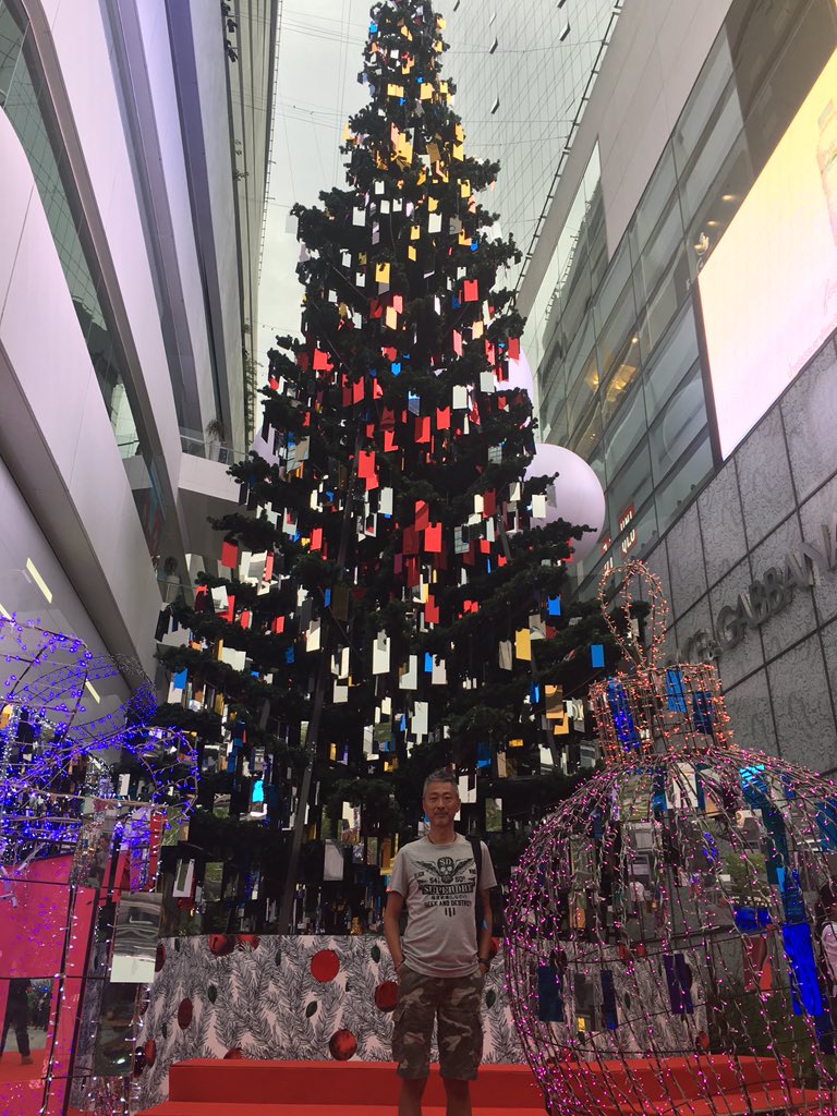 L883's tweet photo. 南の国からHappy Merry Christmas ^ ^ https://t.co/dWtLHqsyex