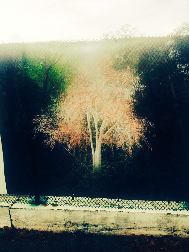 brinnera's tweet photo. #ArtInProspectPark https://t.co/g5aeAuYiMs