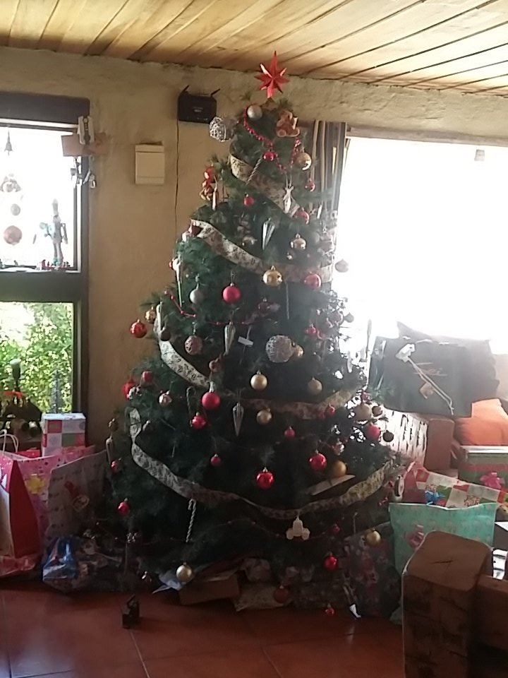 PatovoladorGame's tweet photo. #INTRUSOSNAVIDAD para ustedes con amor , feliz Navidad!!! https://t.co/4sACzSt3dp