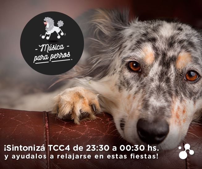 TCCoficial's tweet photo. Tu mascota también quiere pasarla bien en estas fiestas
Sintonizá #TCC4 y descubrí la mejor música para tu amigo!! https://t.co/WuwWrRXUcy