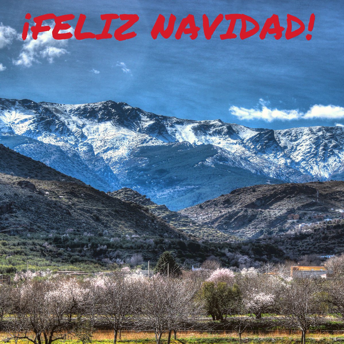 almeriahdr's tweet photo. Desde @AlmeríaHDR os deseamos Feliz Navidad y que disfrutéis de estas fiestas en compañia de vuestros seres queridos https://t.co/waYBREwAWz
