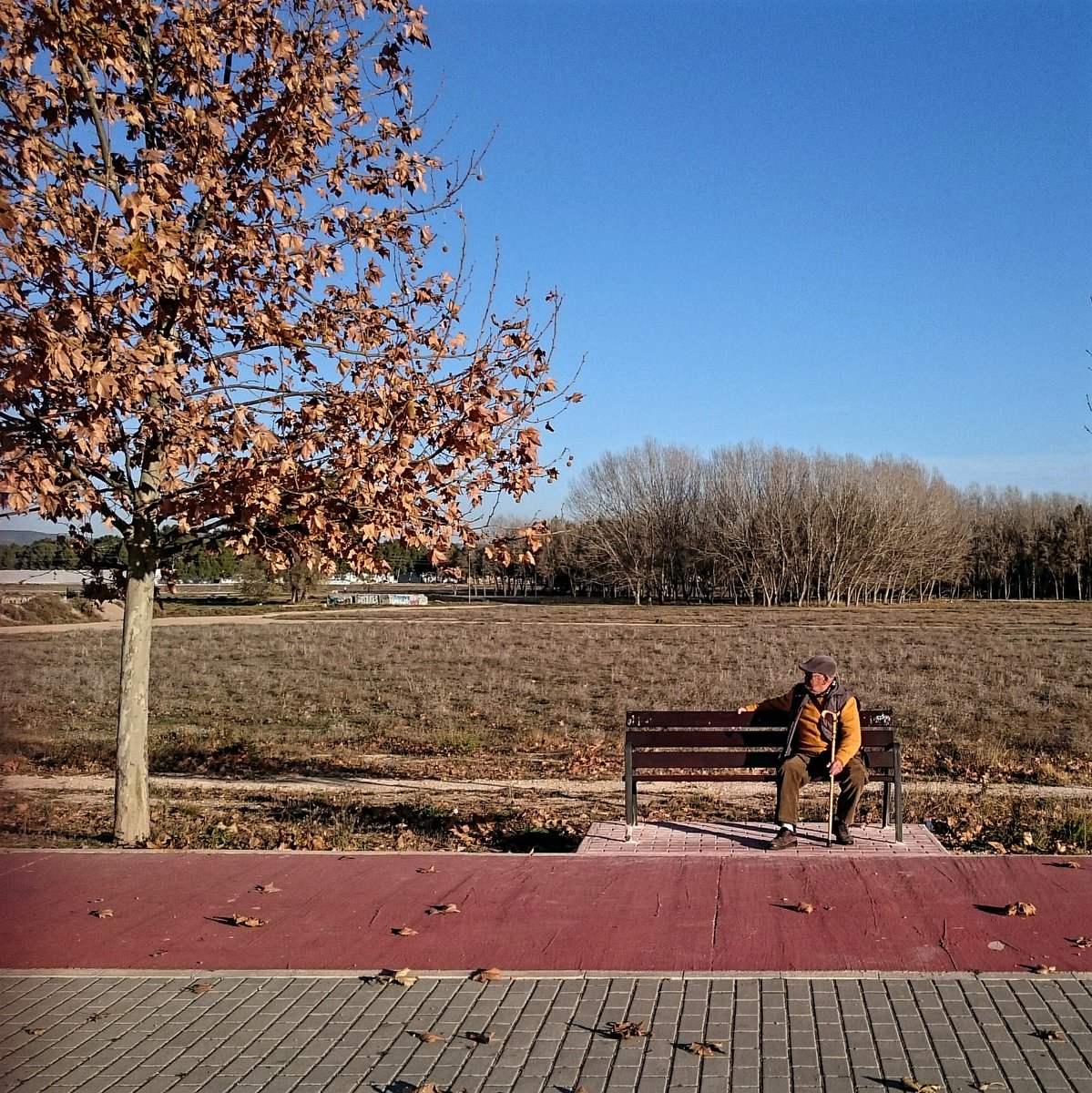mismanosalmansa's tweet photo. 24/12/15. Al sol del invierno. #almansa @AlmansaCiudad https://t.co/0X5vJPaCnp