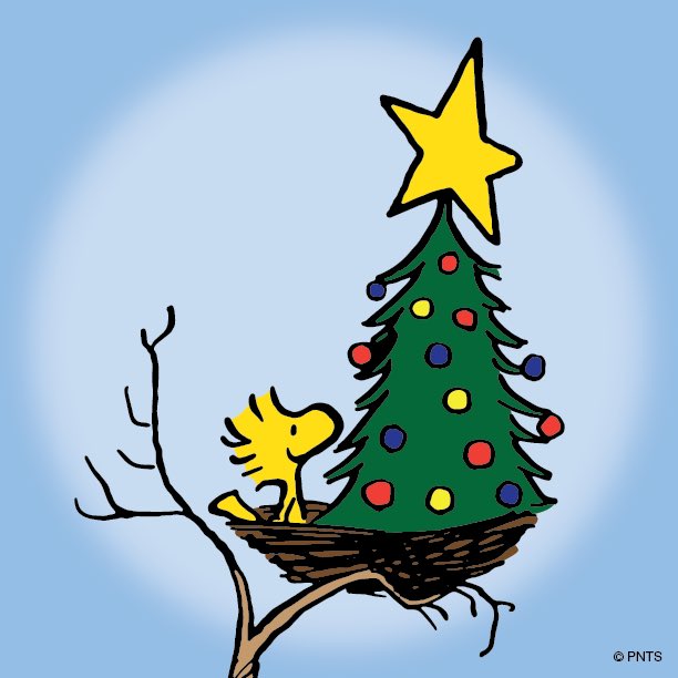 Woodstock (@woodstock) on Twitter photo 