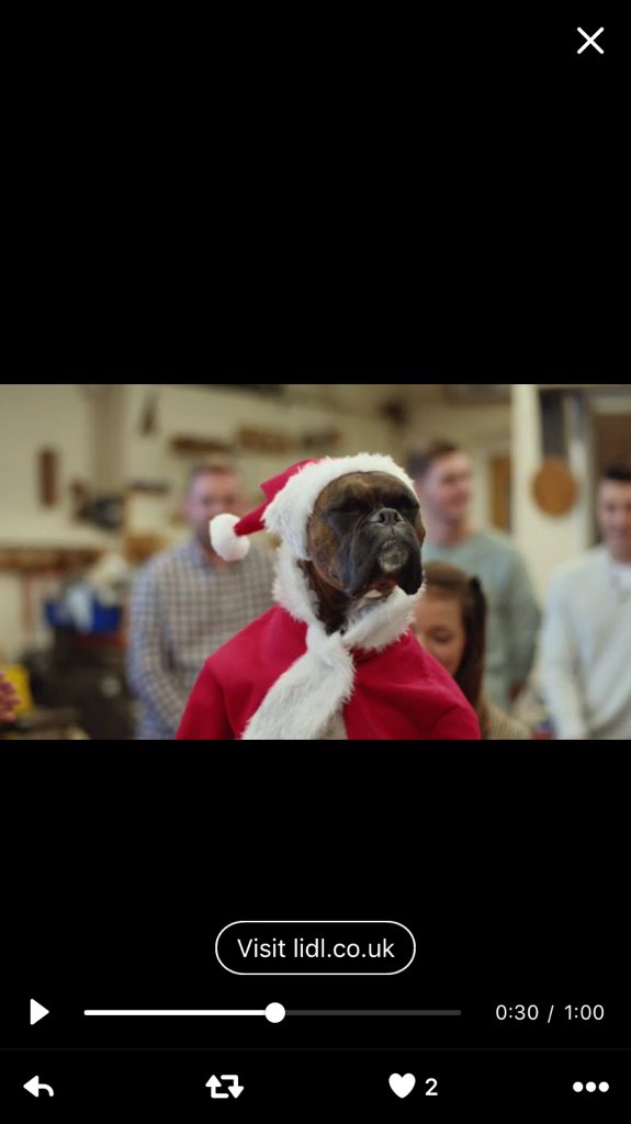 ani_boxer's tweet image. #kingstanley #stanleyclaus @BoxerStanley