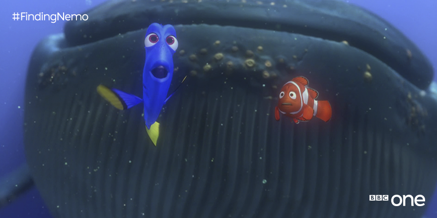 Рыбка дори и немо. Как петь как немо. Немо 2003. Finding nemo part 14 dory speaks whale. Марлин немо и дори.