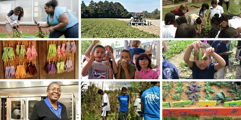 FarmtoSchool's tweet photo. 2015 was filled with great #farmtoschool storytelling. Here are 10 of the best: https://t.co/eDErhoOrjL https://t.co/KFzJcX7n1N