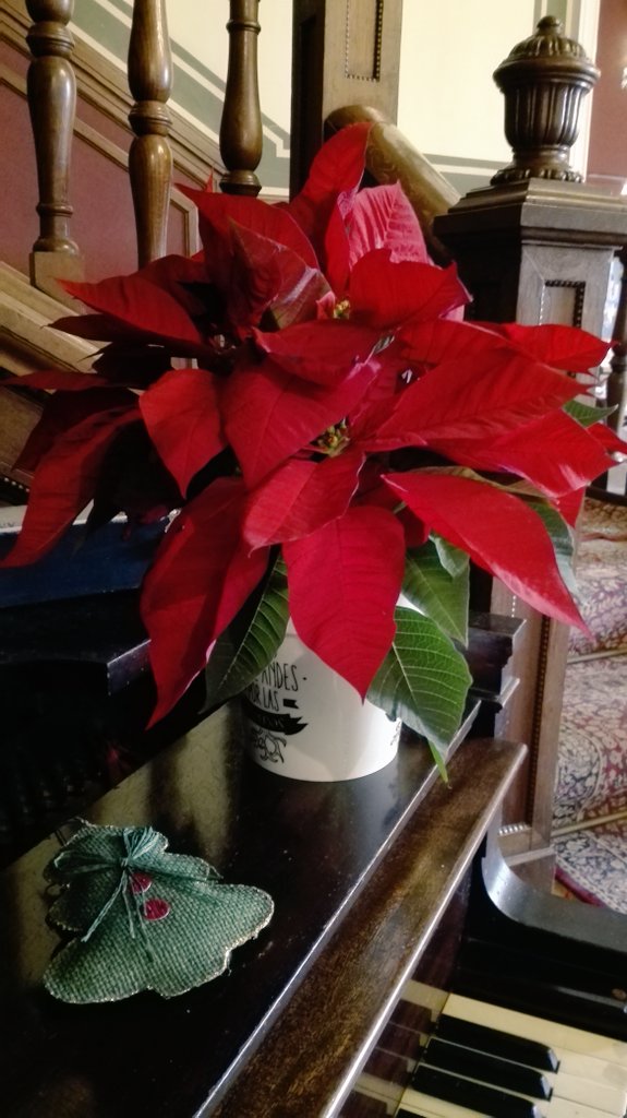 Baladiarestaura's tweet photo. Felices Fiestas! #canbaladia https://t.co/xxZPVI0YPA