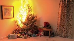BrwBelfeld's tweet photo. De kerstboom staat alweer een tijdje in huis. Geef hem nog eens water. Scheelt veel rommel en is wel zo brandveilig! https://t.co/KMjWsTMDk4