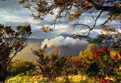 kwarnas's tweet photo. Taman Nasional Bromo https://t.co/qf85vThrp6