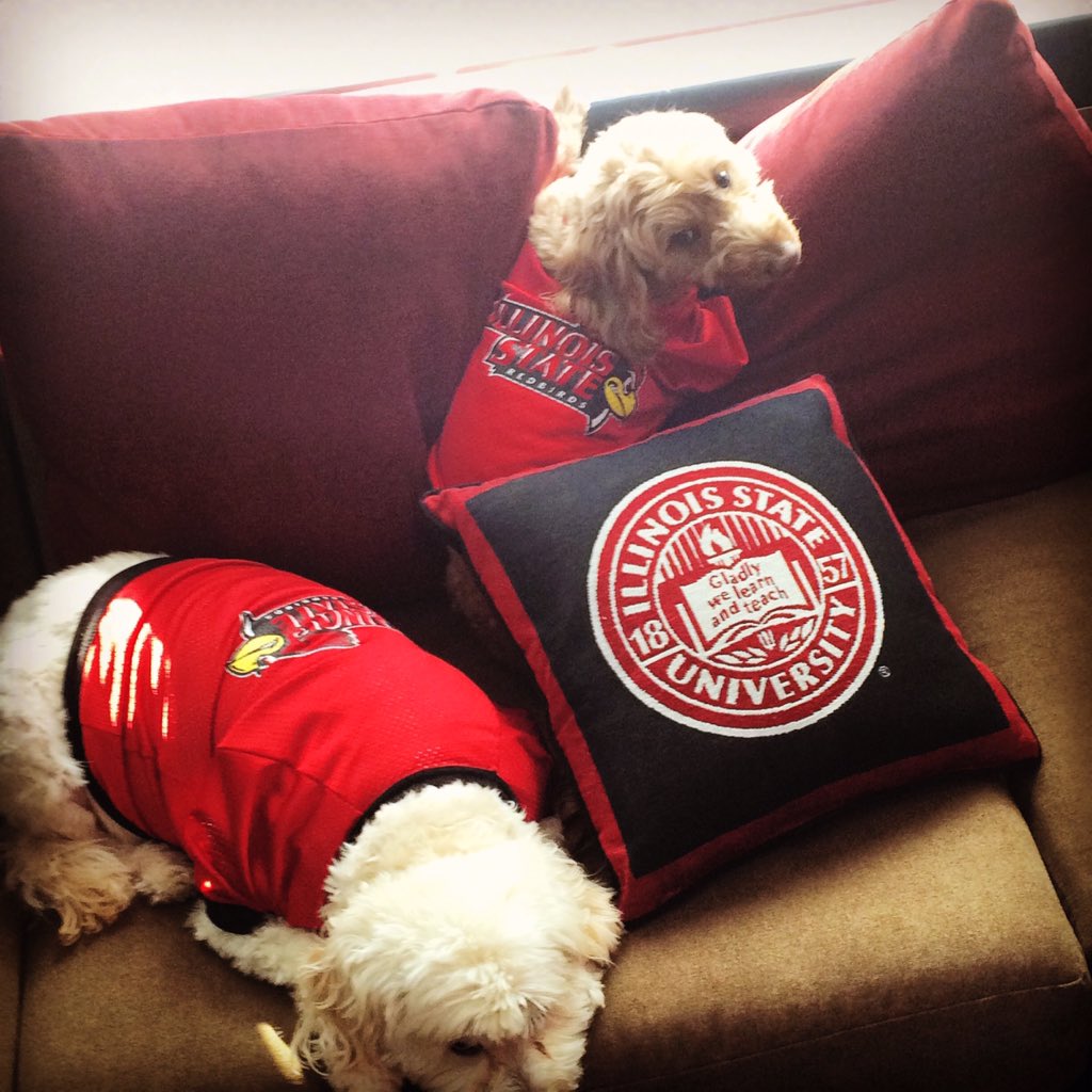 GraceSteinke's tweet image. Merry Christmas from a couple loyal Redbirds. #isu #redbirds @IllinoisStateU