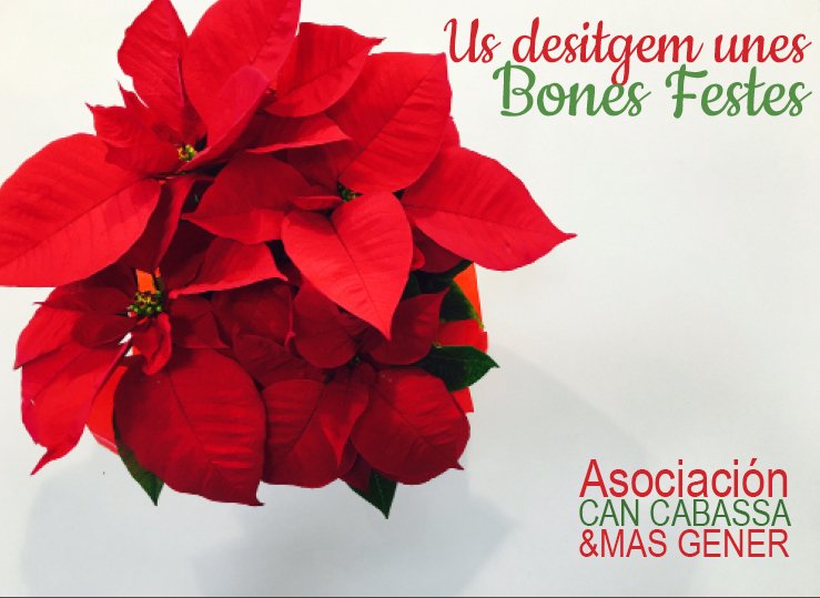 Des de l'Associació... 
ow.ly/VPv6q #asociacioncancabassamasgener