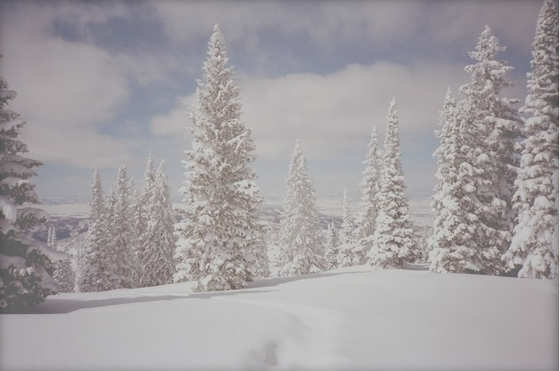 skisteamboat's tweet photo. #SteamboatResort named top ski area in @CBSMoneyWatch:
https://t.co/A9AJojeqKs https://t.co/UZxm93LN9z