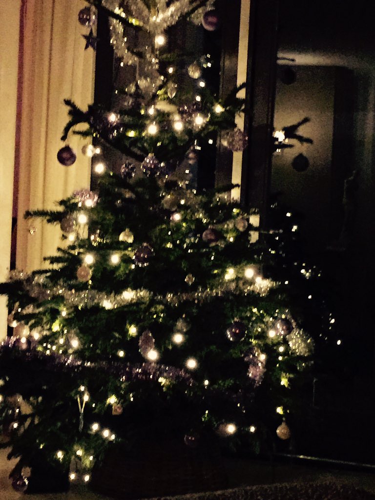 Wij wensen iedereen fijne Kerstdagen. <a href="/RijnmondBUS/">Rijnmond BUSINESS</a>