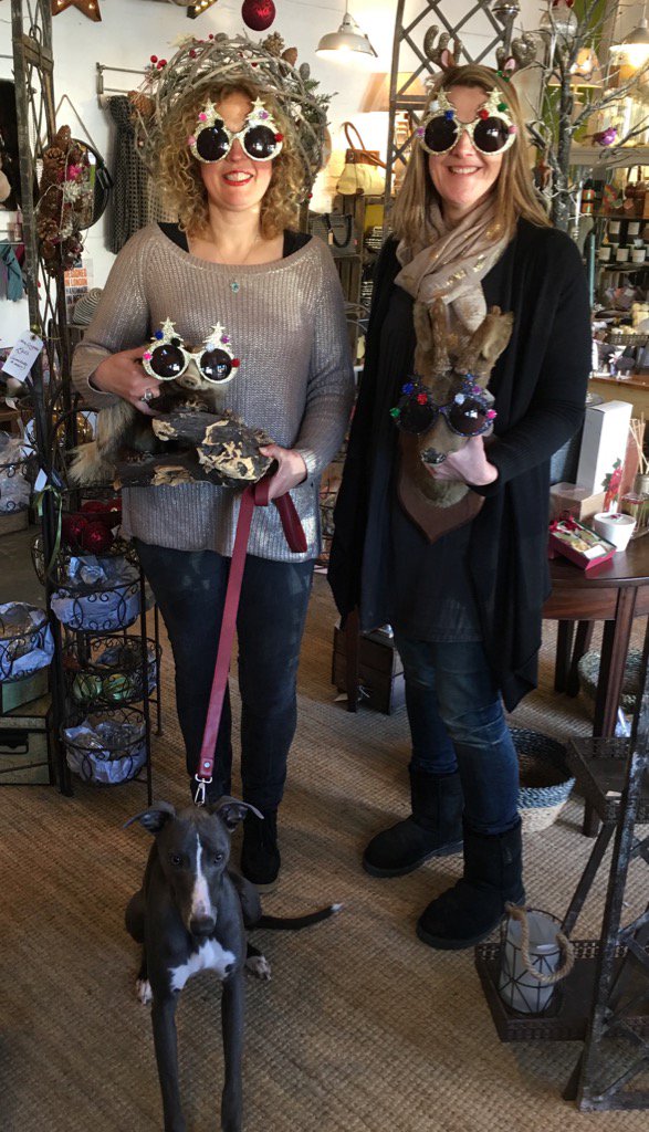 TheInnerYard's tweet photo. Happy Christmas from Bambi,@GreatKingBadger,Beth,Charity and Indie the whippet #spectastic https://t.co/HJzj9y4waB
