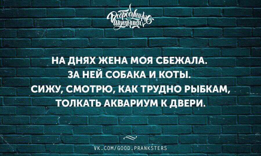 Может быть забудем все и сбежим