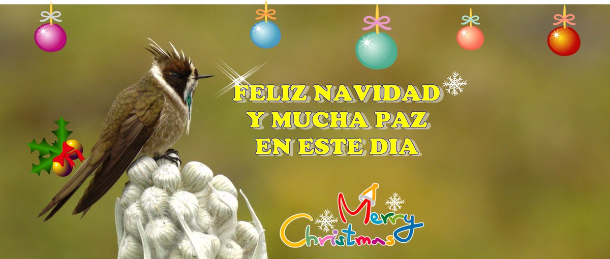 <a href="/Bioexpoco/">BioExpo co</a> <a href="/PROPAIS/">PROPAÍS - Colombia</a> <a href="/jardinbotanicob/">jardin botanico b</a> @AmbienteBogota @gabrielvallejol <a href="/AmigosMontana/">Amigos de la Montaña</a> <a href="/humedalesbogota/">Humedales Bogotá</a>  <a href="/Cantoalagua/">Cantoalagua</a>